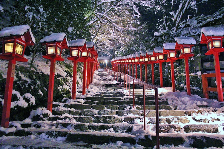 木津川神社_雪の氣生根