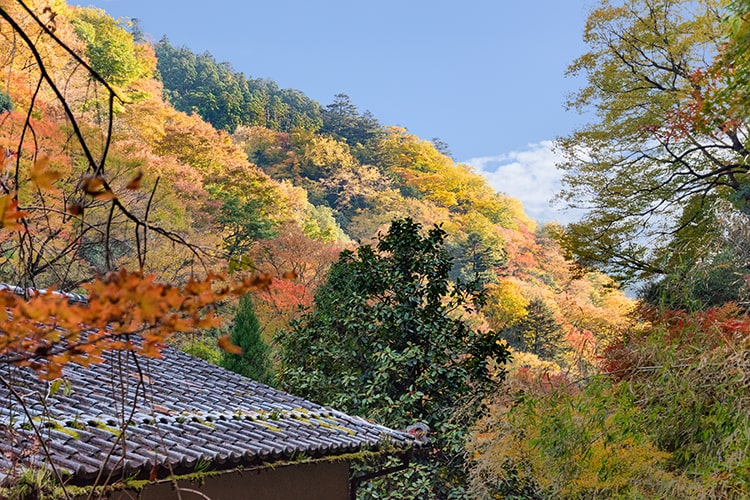 ご宿泊お部屋_うめ