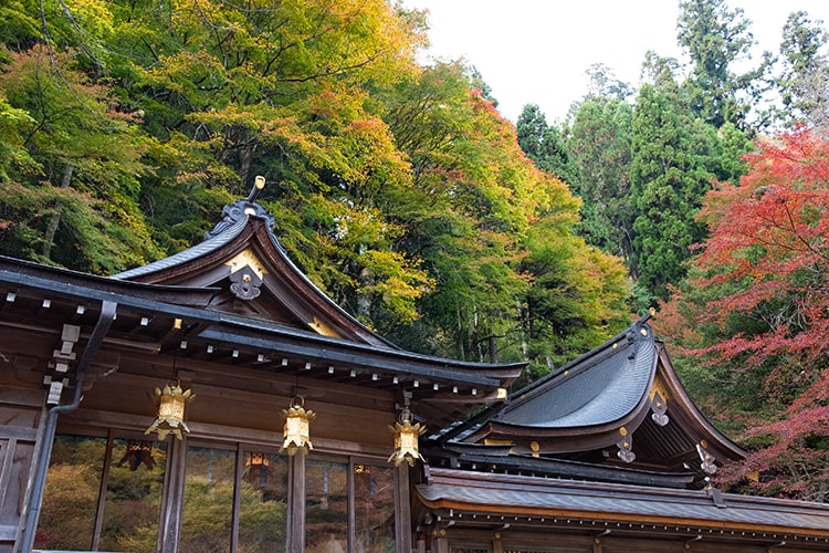 木津川神社_本宮