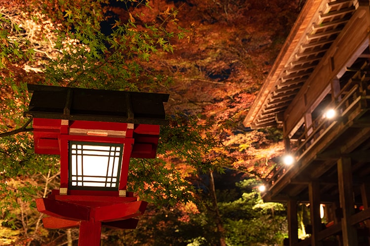 木津川神社_本宮