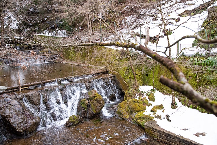 木津川川